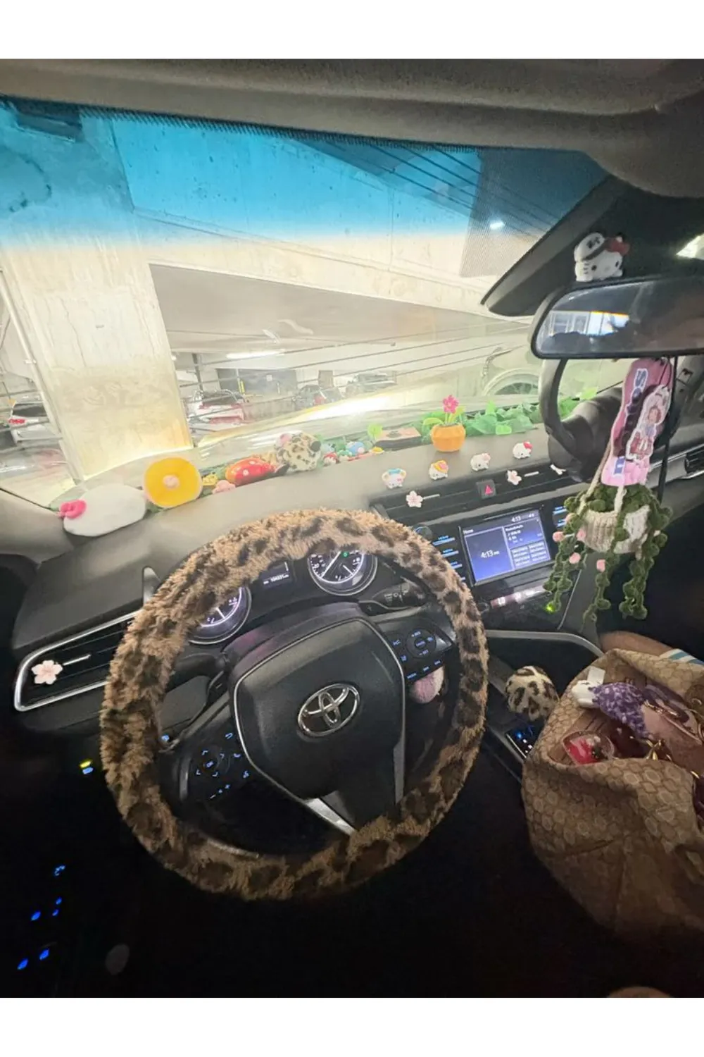 Unlock Your Drive with Cheetah Car Accessories 10 Cheetah Car Accessories