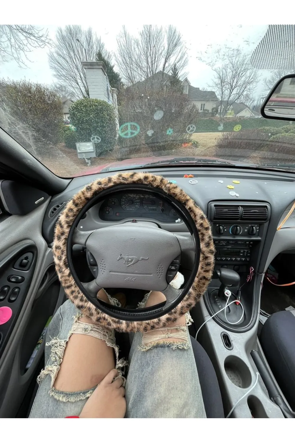 Unlock Your Drive with Cheetah Car Accessories 3 Cheetah Car Accessories