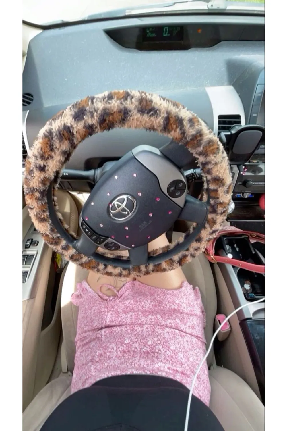 Unlock Your Drive with Cheetah Car Accessories 4 Cheetah Car Accessories