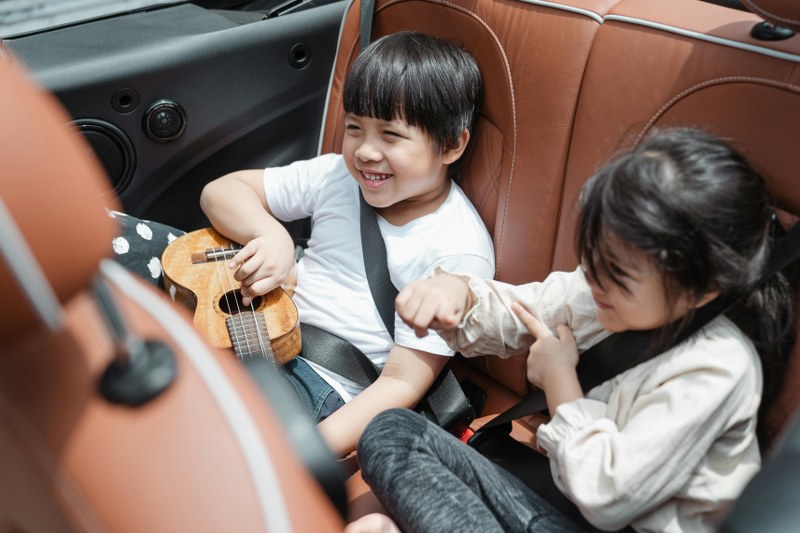 Car seat covers on leather seats