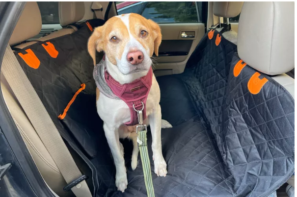 Best Car Seat Covers for Dogs