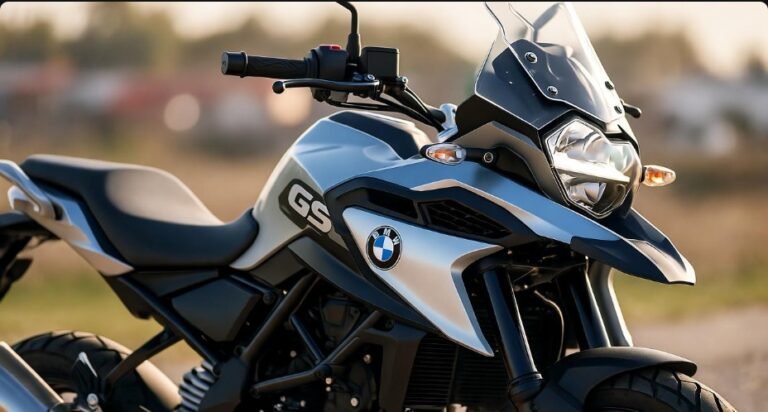 BMW GS 310 Second Hand 6 Amazing Offers Today