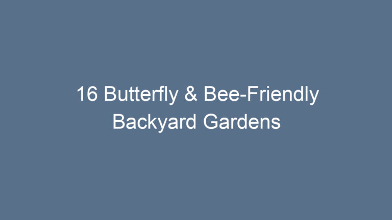 16 Butterfly & Bee-Friendly Backyard Gardens