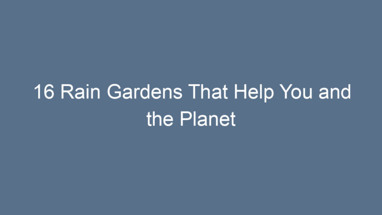 16 Rain Gardens That Help You and the Planet