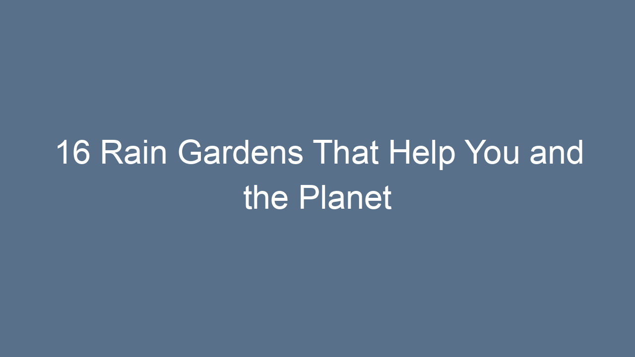 16 rain gardens that help you and the planet 15515