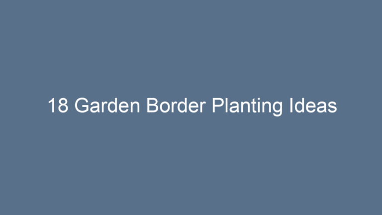 18 Garden Border Planting Ideas