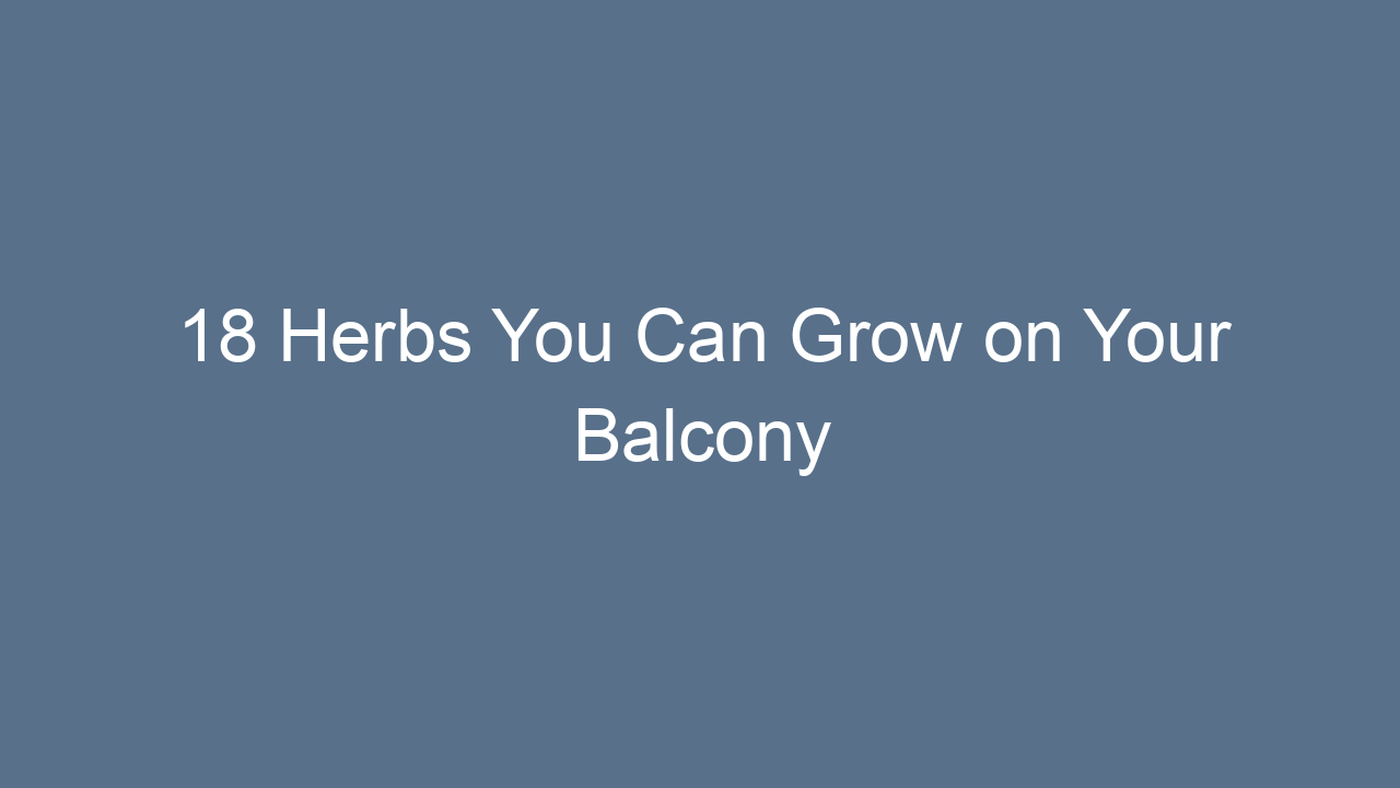 18 herbs you can grow on your balcony 9456