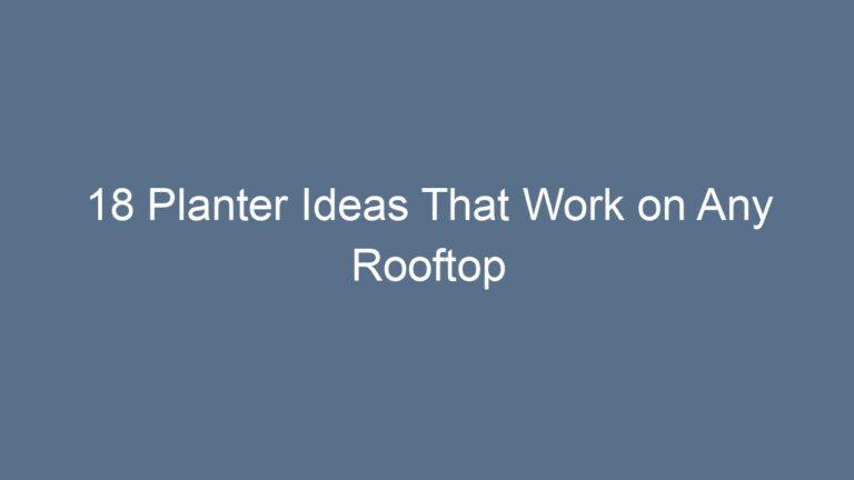 18 Planter Ideas That Work on Any Rooftop