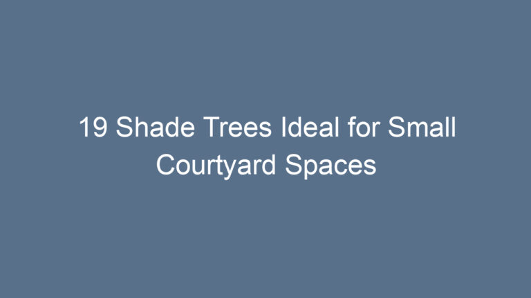 19 Shade Trees Ideal for Small Courtyard Spaces