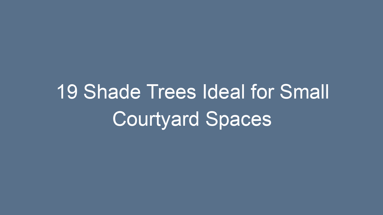 19 shade trees ideal for small courtyard spaces 14144