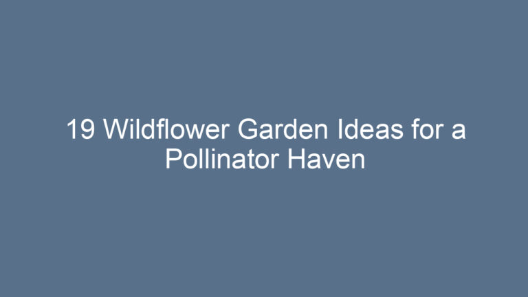 19 Wildflower Garden Ideas for a Pollinator Haven