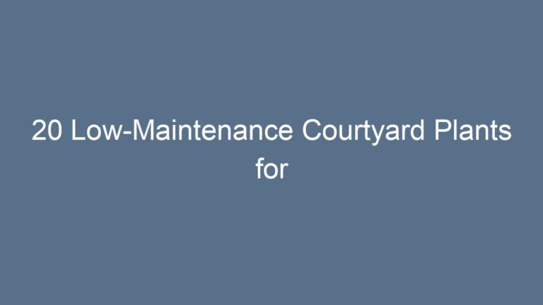 20 Low-Maintenance Courtyard Plants for Year-Round Beauty