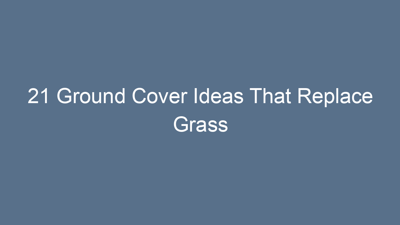 21 ground cover ideas that replace grass beautifully 14145