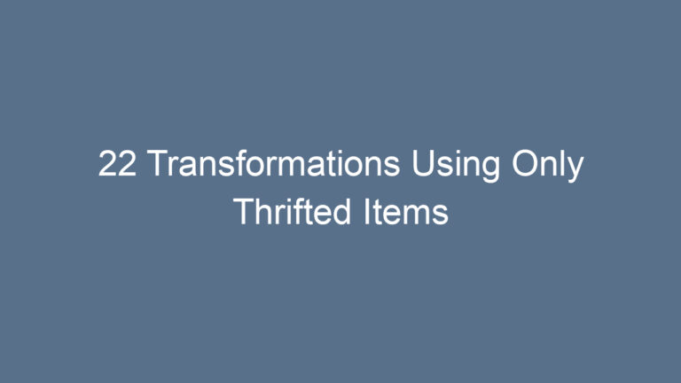 22 Transformations Using Only Thrifted Items
