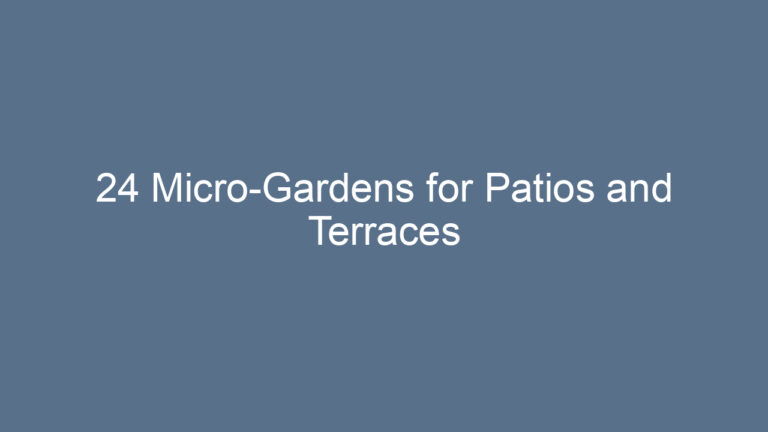 24 Micro-Gardens for Patios and Terraces