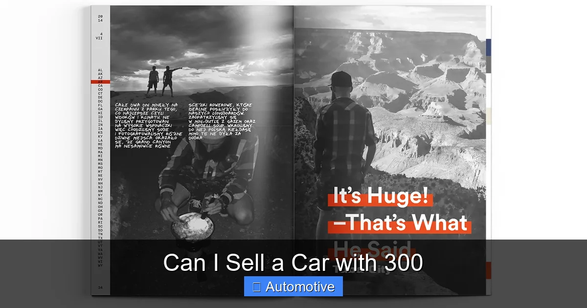 Can I Sell a Car with 300
