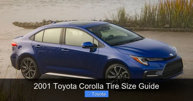 2001 Toyota Corolla Tire Size Guide
