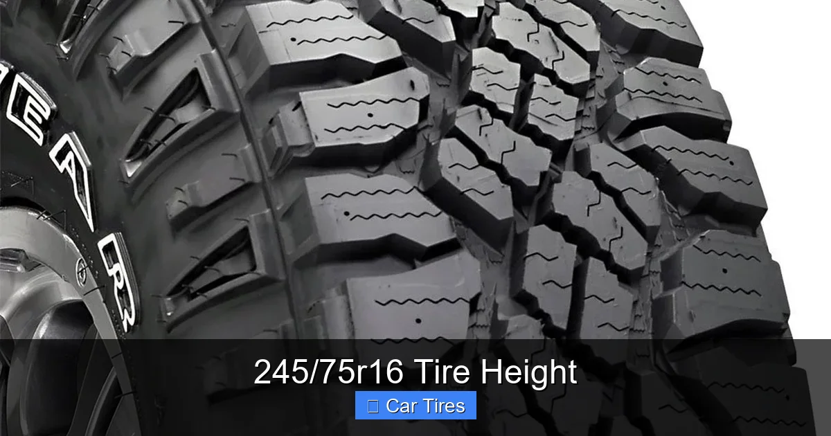 245/75r16 Tire Height