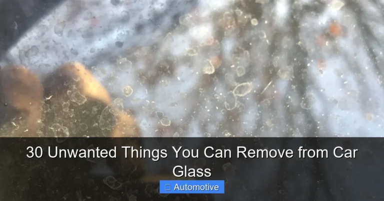 30 Unwanted Things You Can Remove from Car Glass