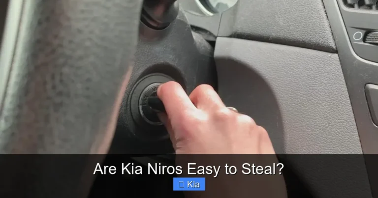 Are Kia Niros Easy to Steal?