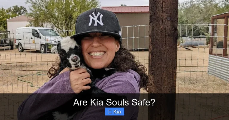 Are Kia Souls Safe?