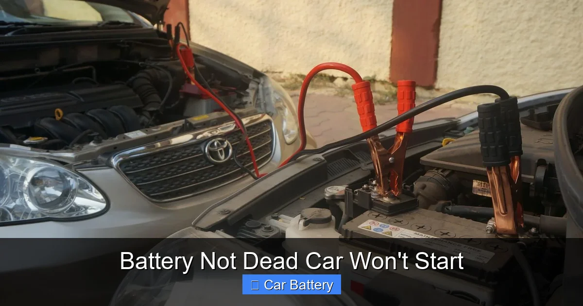 Battery Not Dead Car Won't Start