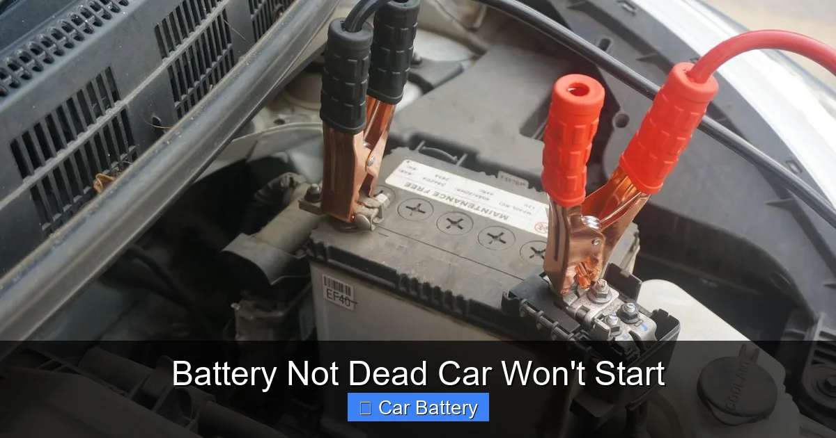 Battery Not Dead Car Won't Start