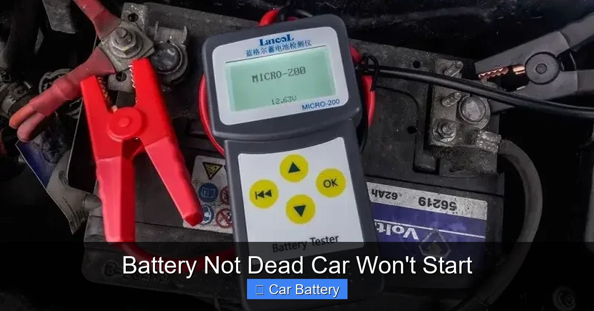 Battery Not Dead Car Won't Start