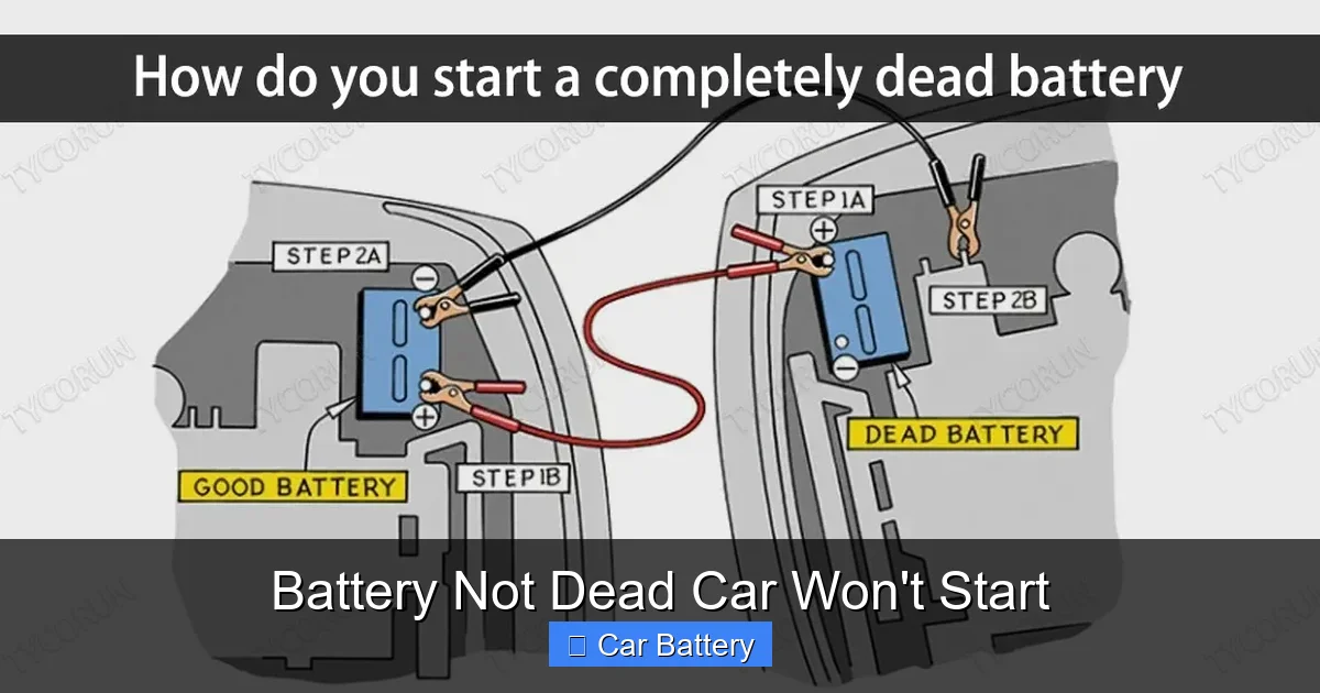 Battery Not Dead Car Won't Start