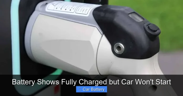 Battery Shows Fully Charged but Car Won't Start