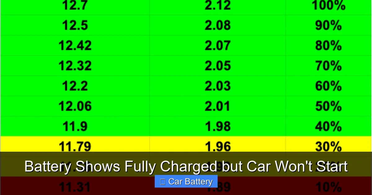 Battery Shows Fully Charged but Car Won't Start