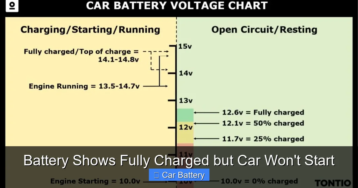 Battery Shows Fully Charged but Car Won't Start