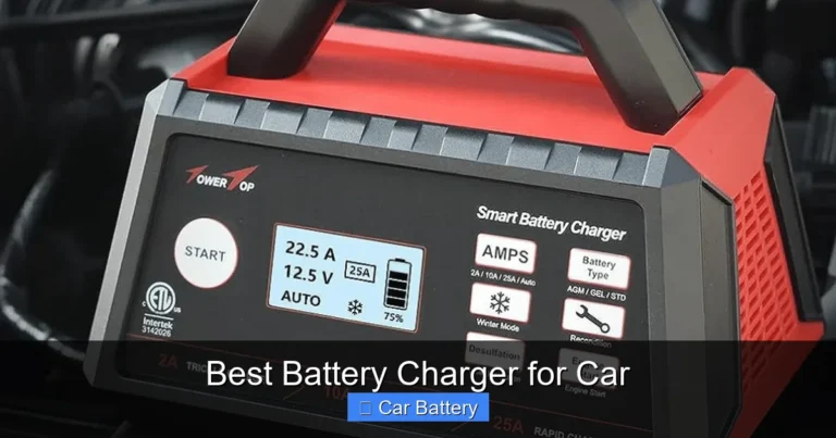 Best Battery Charger for Car