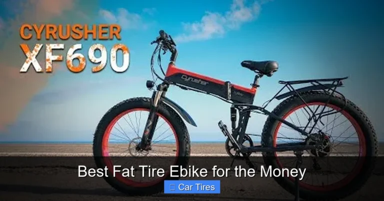 Best Fat Tire Ebike for the Money