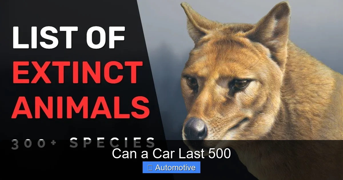 Can a Car Last 500