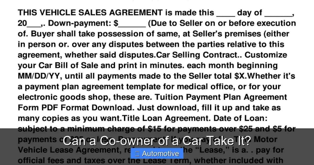 Can a Co-owner of a Car Take It?