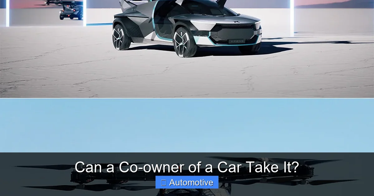 Can a Co-owner of a Car Take It?