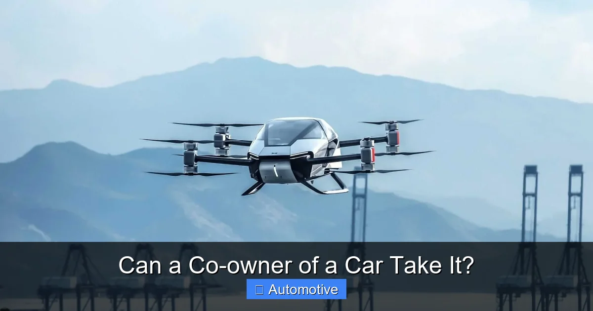 Can a Co-owner of a Car Take It?