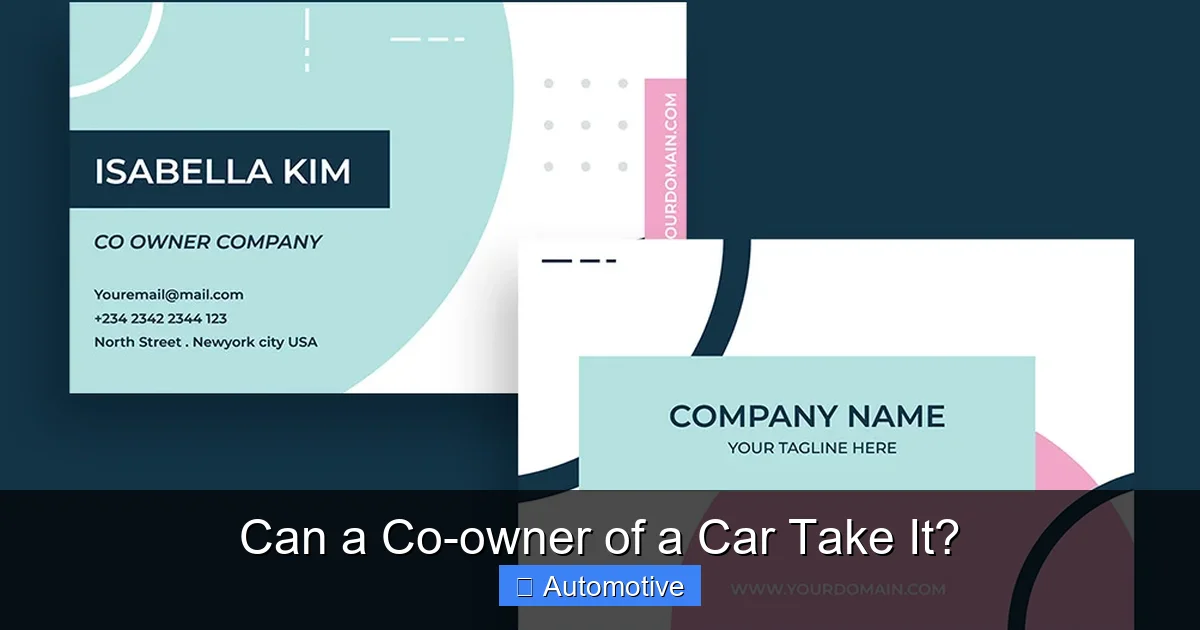 Can a Co-owner of a Car Take It?