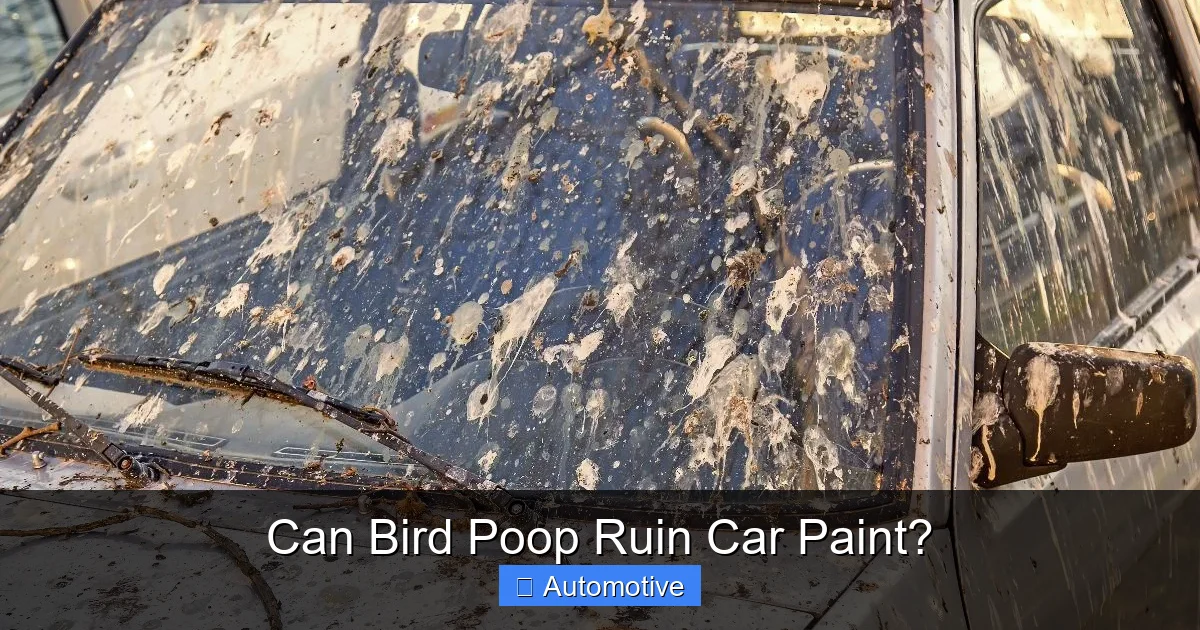 Can Bird Poop Ruin Car Paint?