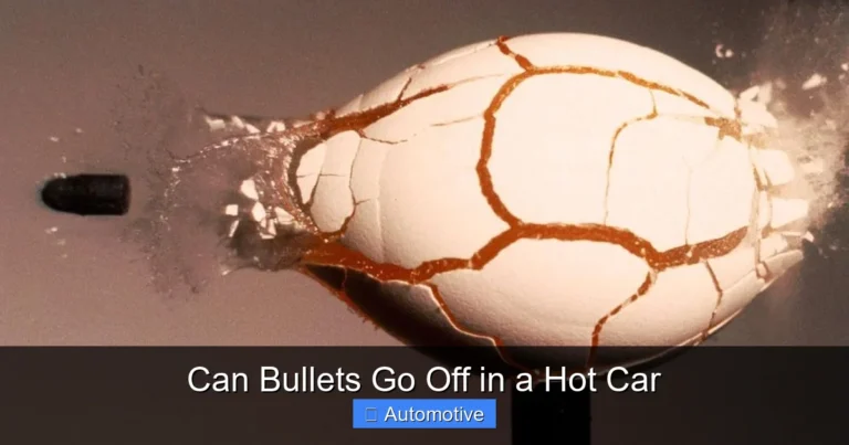 Can Bullets Go Off in a Hot Car