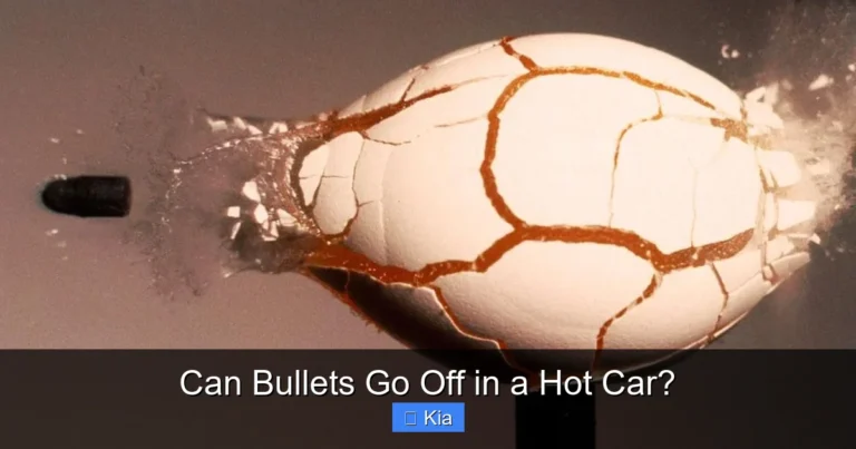 Can Bullets Go Off in a Hot Car?