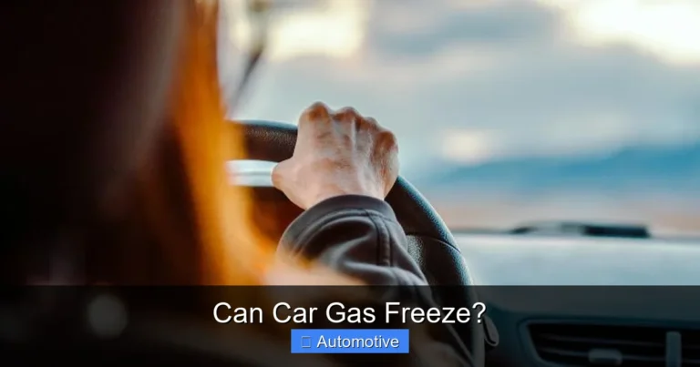 Can Car Gas Freeze?