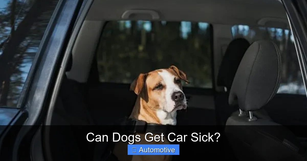 Can Dogs Get Car Sick?