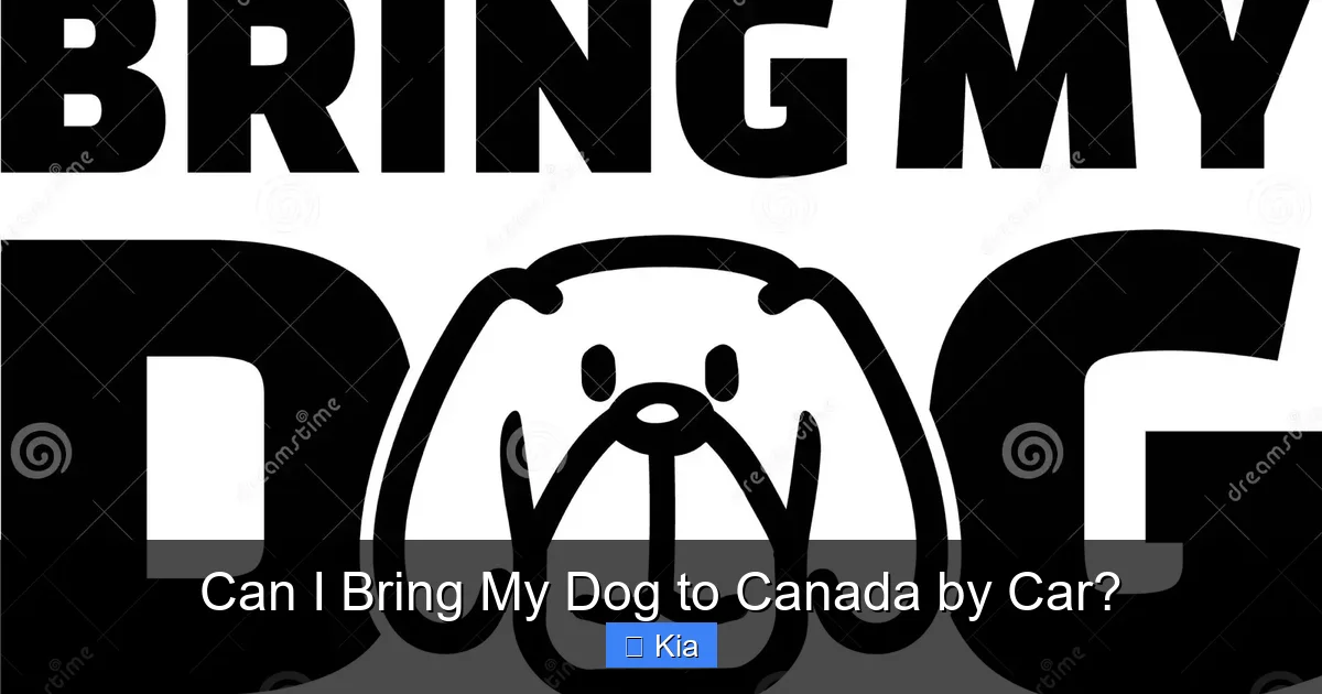Can I Bring My Dog to Canada by Car?