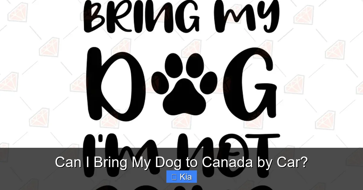 Can I Bring My Dog to Canada by Car?