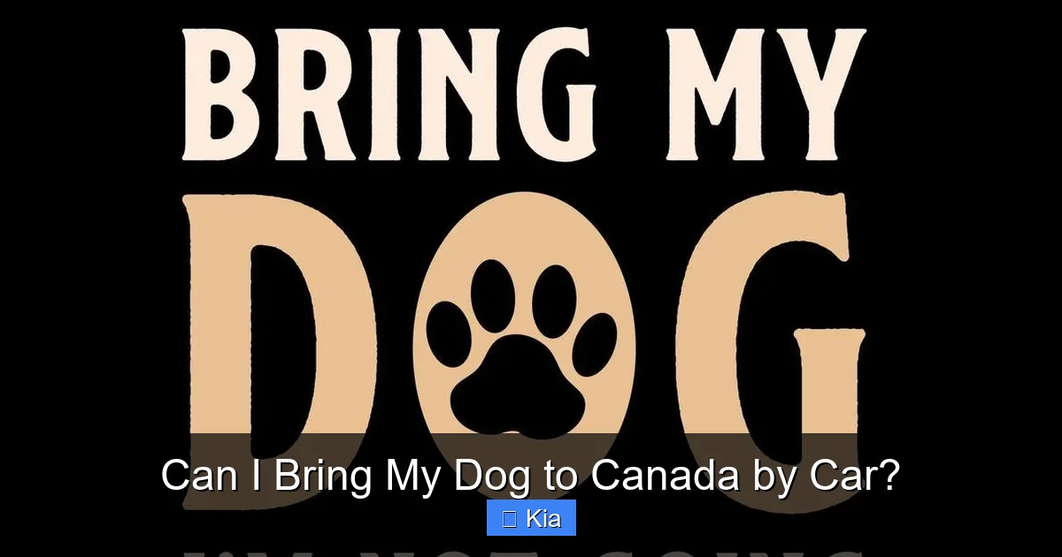 Can I Bring My Dog to Canada by Car?