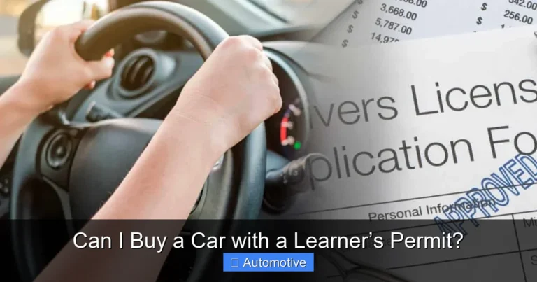Can I Buy a Car with a Learner’s Permit?