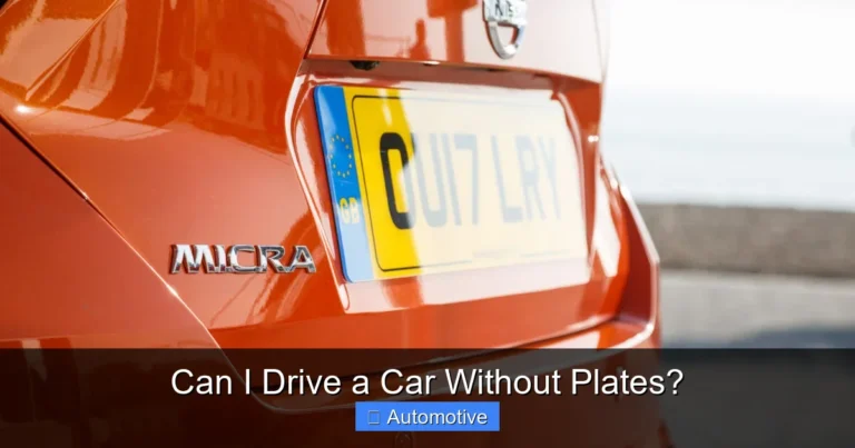 Can I Drive a Car Without Plates?