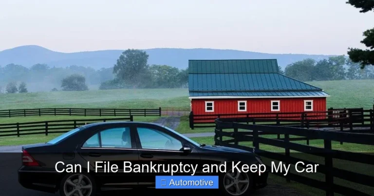 Can I File Bankruptcy and Keep My Car